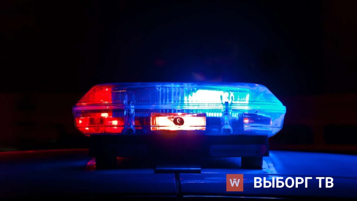 У магазина в Выборгском районе нашли кости: эксперты проверяют, кому они принадлежали, полиция ведёт проверку