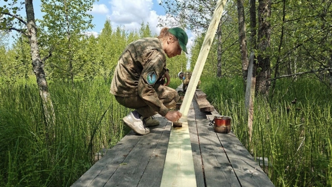 В Выборгском районе Ленобласти облагораживают заказник Раковые озёра