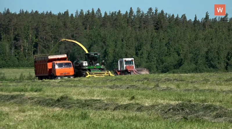 Заготовительная кампания в Ленинградской области успешно завершается
