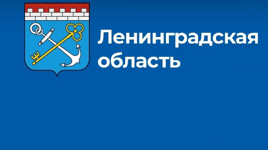 В правительстве Ленинградской области – новые лица