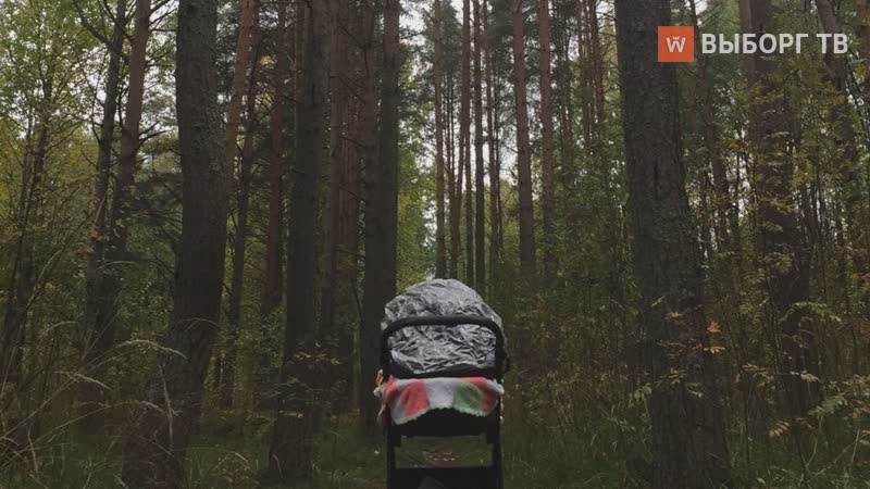 Жители Выборга показывают высокую активность в голосовании за территории комфорта